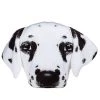 STC Coussins Enfant Coussin Chien Dalmatien 35x25cm