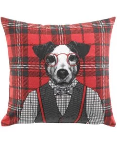 Douceur D'Intérieur Coussins Enfant Coussin Coton 40x40cm