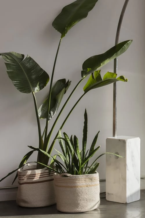 Lorena Canals Boîtes Et Paniers De Rangements Enfant Panier En Coton Marron Ø30x30 8 Lorena Canals Boîtes Et Paniers De Rangements Enfant Panier En Coton Marron Ø30x30 – Image 6